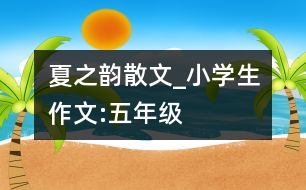 夏之韻（散文）_小學(xué)生作文:五年級