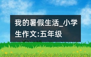 我的暑假生活_小學(xué)生作文:五年級(jí)