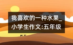 我喜歡的一種水果_小學(xué)生作文:五年級