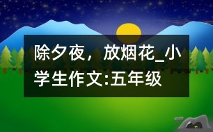 除夕夜，放煙花_小學(xué)生作文:五年級(jí)