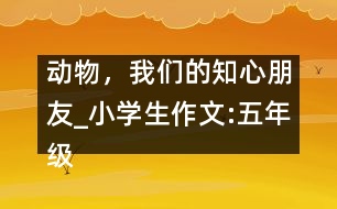 動(dòng)物，我們的知心朋友_小學(xué)生作文:五年級(jí)