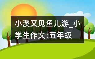 小溪又見魚兒游_小學生作文:五年級