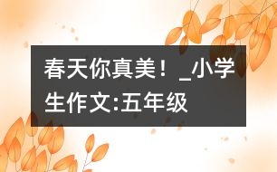 春天你真美！_小學(xué)生作文:五年級