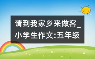 請到我家鄉(xiāng)來做客_小學(xué)生作文:五年級