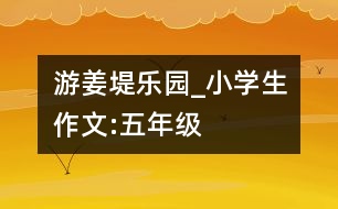 游姜堤樂(lè)園_小學(xué)生作文:五年級(jí)