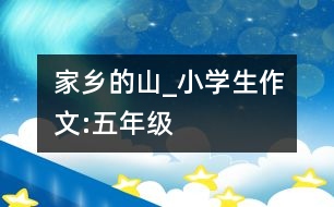 家鄉(xiāng)的山_小學(xué)生作文:五年級