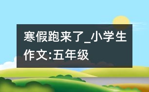 寒假跑來了_小學(xué)生作文:五年級(jí)