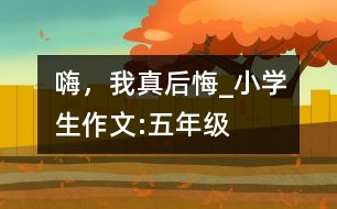 嗨，我真后悔_小學(xué)生作文:五年級
