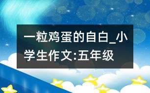一粒雞蛋的自白_小學(xué)生作文:五年級