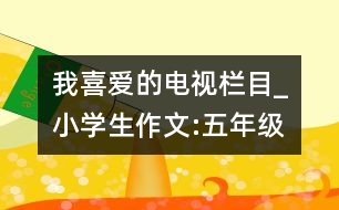 我喜愛的電視欄目_小學生作文:五年級