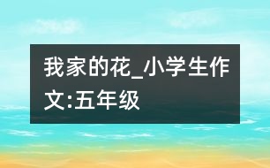 我家的花_小學(xué)生作文:五年級