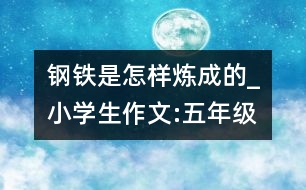 鋼鐵是怎樣煉成的_小學生作文:五年級