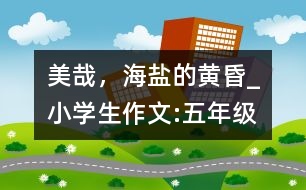 美哉，海鹽的黃昏_小學(xué)生作文:五年級