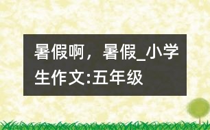 暑假啊，暑假_小學生作文:五年級