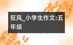 狂風(fēng)_小學(xué)生作文:五年級(jí)