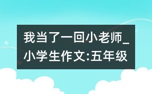 我當了一回小老師_小學生作文:五年級