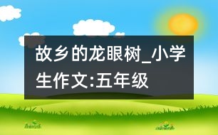 故鄉(xiāng)的龍眼樹(shù)_小學(xué)生作文:五年級(jí)