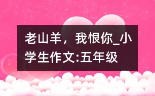 “老山羊”，我恨你_小學(xué)生作文:五年級(jí)