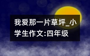 我愛(ài)那一片草坪_小學(xué)生作文:四年級(jí)
