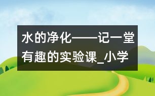 水的凈化――記一堂有趣的實驗課_小學(xué)生作文:四年級