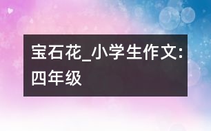 寶石花_小學(xué)生作文:四年級(jí)