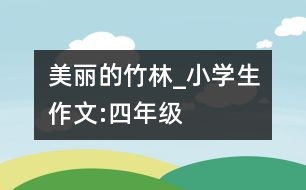 美麗的竹林_小學(xué)生作文:四年級