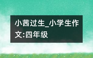 小茜過生_小學(xué)生作文:四年級(jí)