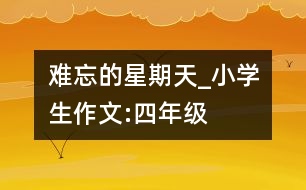 難忘的星期天_小學(xué)生作文:四年級(jí)