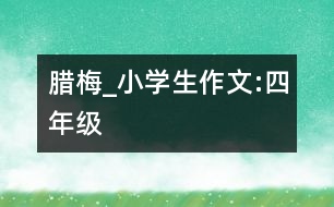 臘梅_小學(xué)生作文:四年級(jí)