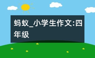 螞蟻_小學生作文:四年級