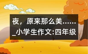 夜，原來那么美……_小學(xué)生作文:四年級