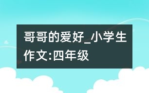 哥哥的愛(ài)好_小學(xué)生作文:四年級(jí)