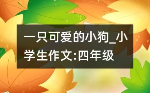 一只可愛的小狗_小學(xué)生作文:四年級(jí)