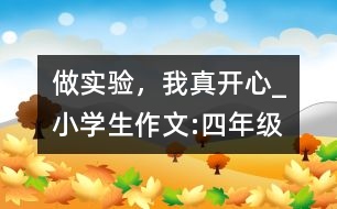 做實(shí)驗(yàn)，我真開心_小學(xué)生作文:四年級