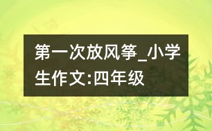 第一次放風(fēng)箏_小學(xué)生作文:四年級