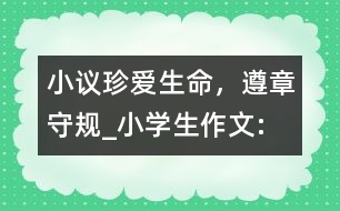 小議“珍愛生命，遵章守規(guī)”_小學生作文:四年級