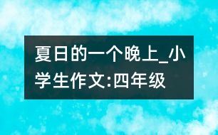 夏日的一個晚上_小學生作文:四年級