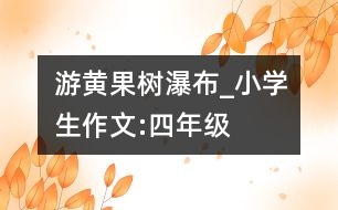 游黃果樹瀑布_小學生作文:四年級