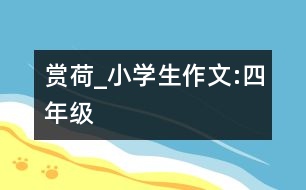賞荷_小學(xué)生作文:四年級(jí)