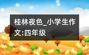 桂林夜色_小學生作文:四年級