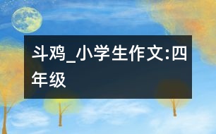 斗雞”_小學(xué)生作文:四年級(jí)