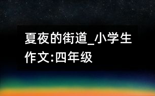 夏夜的街道_小學生作文:四年級