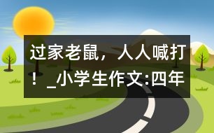 過(guò)“家”老鼠，人人喊打！_小學(xué)生作文:四年級(jí)