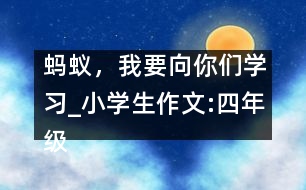螞蟻，我要向你們學習_小學生作文:四年級