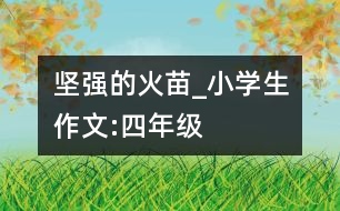 堅(jiān)強(qiáng)的火苗_小學(xué)生作文:四年級