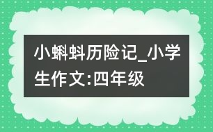 小蝌蚪歷險(xiǎn)記_小學(xué)生作文:四年級