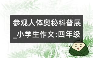 參觀人體奧秘科普展_小學生作文:四年級