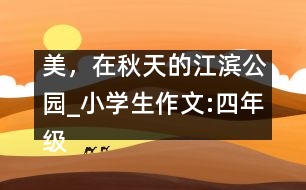美，在秋天的江濱公園_小學(xué)生作文:四年級(jí)