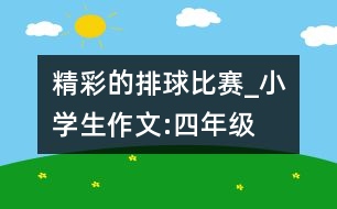 精彩的排球比賽_小學生作文:四年級