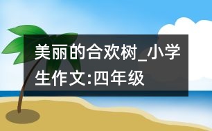 美麗的合歡樹_小學(xué)生作文:四年級(jí)